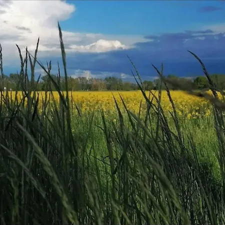 Oderradweg Διαμέρισμα *